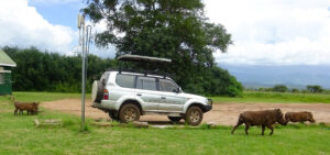 best-4x4-land-cruiser-prado-for-hire-in-uganda