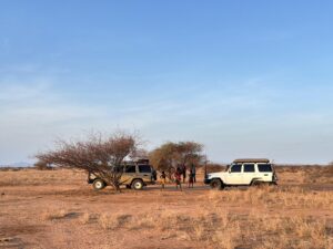 Uganda Safaris