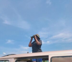 Wildlife Safaris Car Rental