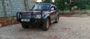 Prado TX