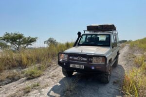 Self Drive Tips