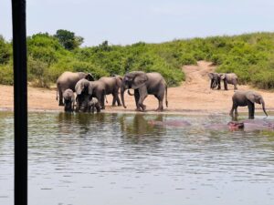 Murchison Falls National Park
